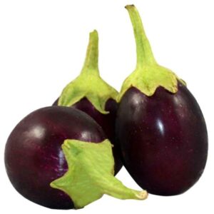 Brinjal