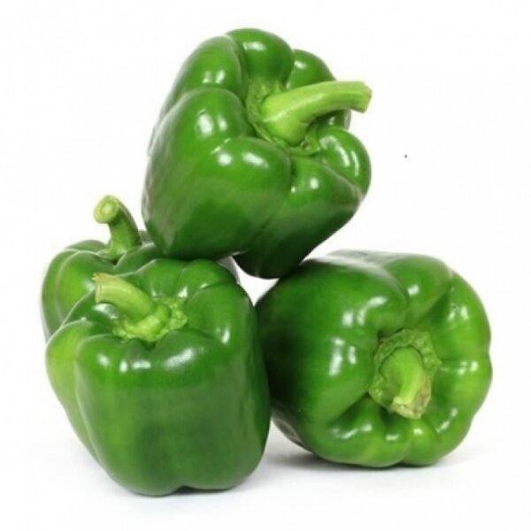 Capsicum