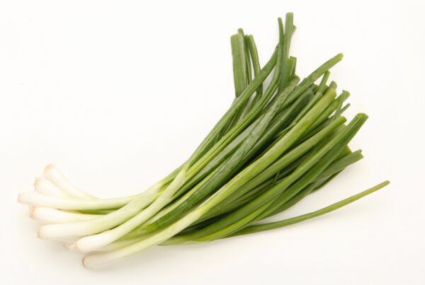 Spring Onion