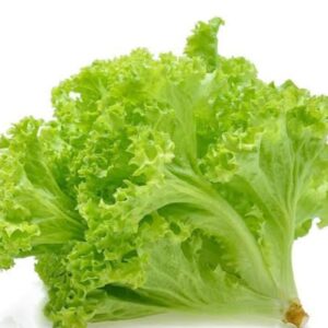 Lettuce