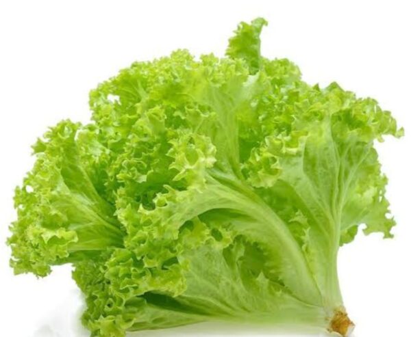 Lettuce