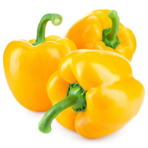 Yellow Capsicum